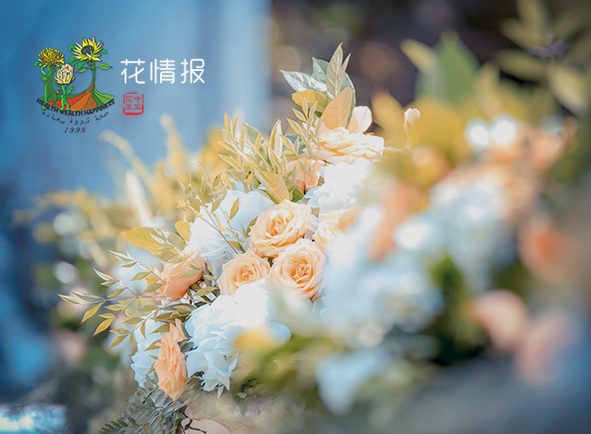 花情報